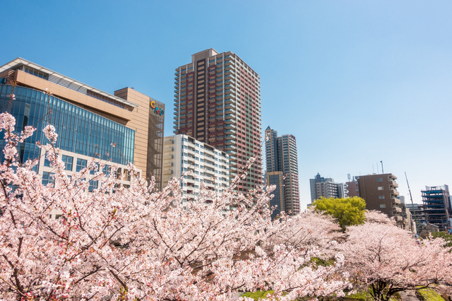 川口市画像