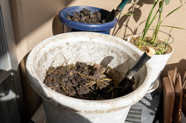 川口市のマンションのベランダの植物ゴミ