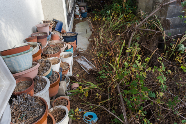 川口でいらなくなって積まれた土と鉢